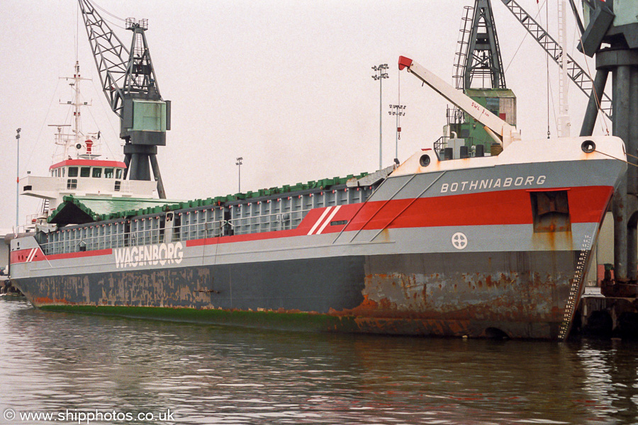 Photograph of the vessel  Bothniaborg pictured at Ellesmere Port on 18th August 2001