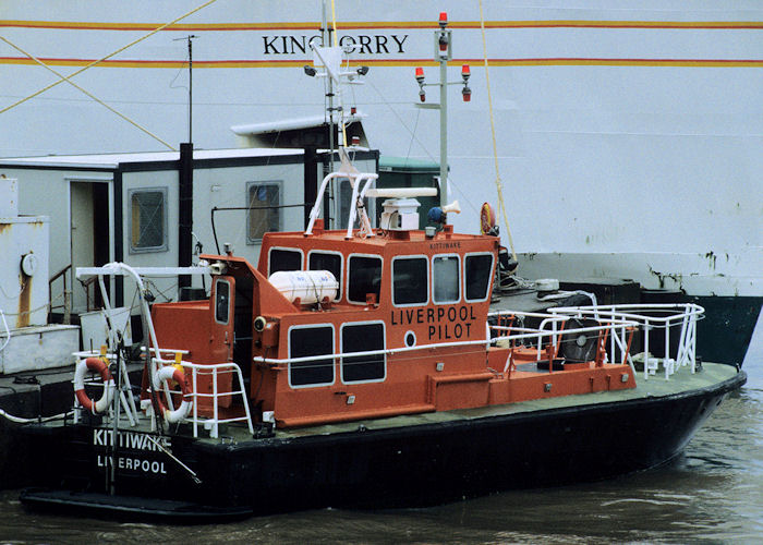 Kittiwake