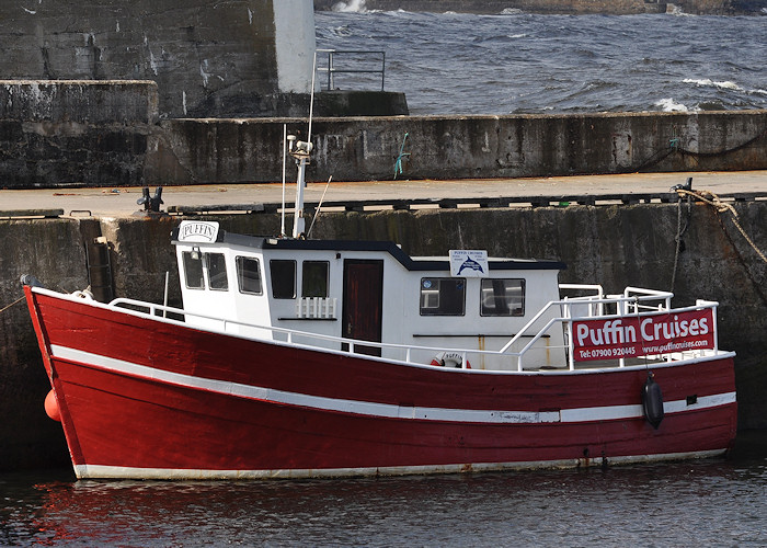 Puffin