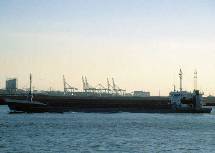 Photograph of the vessel  Salmo pictured passing Hoek van Holland on 20th April 1997