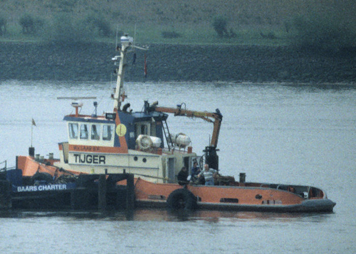 Tiger