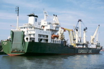 General Cargo Ships with Ro-Ro Facility