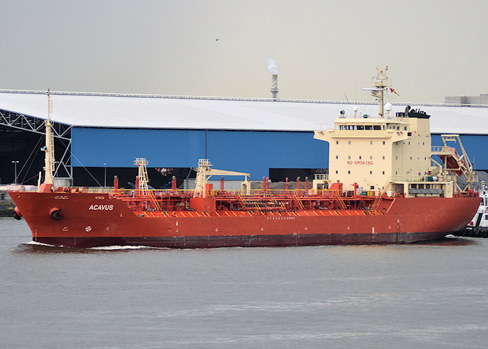 Photograph of the vessel  Acavus pictured passing Vlaardingen on 28th June 2011