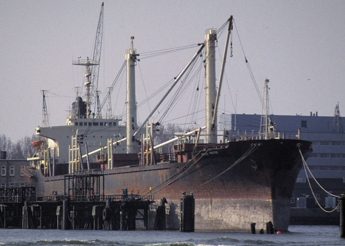 Photograph of the vessel  Adriatic Prestige pictured laid up on the Nieuwe Maas on 14th April 1996