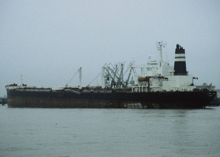 Photograph of the vessel  Alandia Prince pictured at Tranmere on 15th November 1996