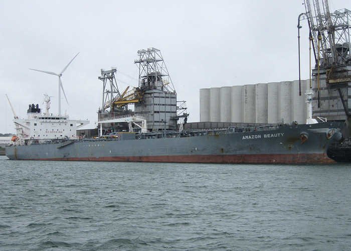 Photograph of the vessel  Amazon Beauty pictured in Beneluxhaven, Europoort on 24th June 2012