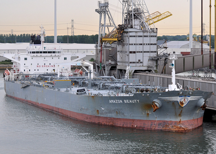 Photograph of the vessel  Amazon Beauty pictured in Beneluxhaven, Europoort on 26th June 2012