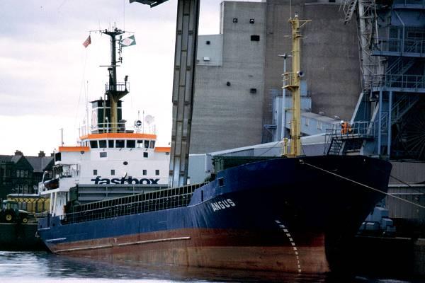 Photograph of the vessel  Angus pictured in Royal Seaforth Dock, Liverpool on 19th July 1999