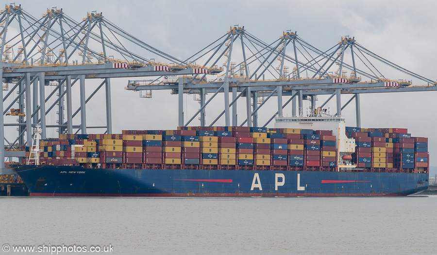 Photograph of the vessel  APL New York pictured at London Gateway on 19th July 2025