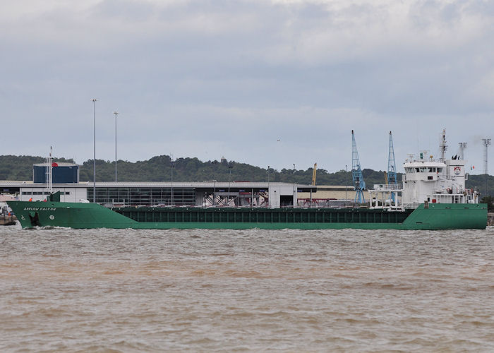 Photograph of the vessel  Arklow Falcon pictured on the River Mersey on 22nd June 2013