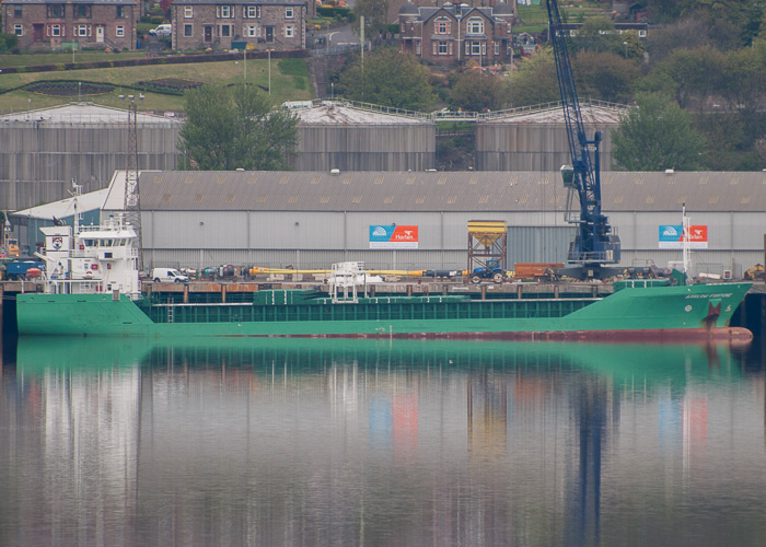 Photograph of the vessel  Arklow Fortune pictured at Dundee on 3rd May 2014
