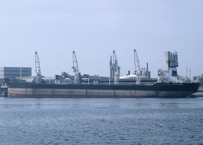 Photograph of the vessel  Arosa pictured on the Calandkanaal, Europoort on 27th September 1992