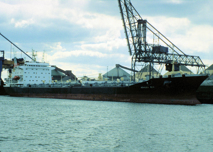 Photograph of the vessel  Azalea Sea pictured in Rotterdam on 20th April 1997