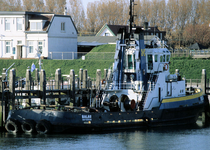 Photograph of the vessel  Balau pictured at Hoek van Holland on 20th April 1997