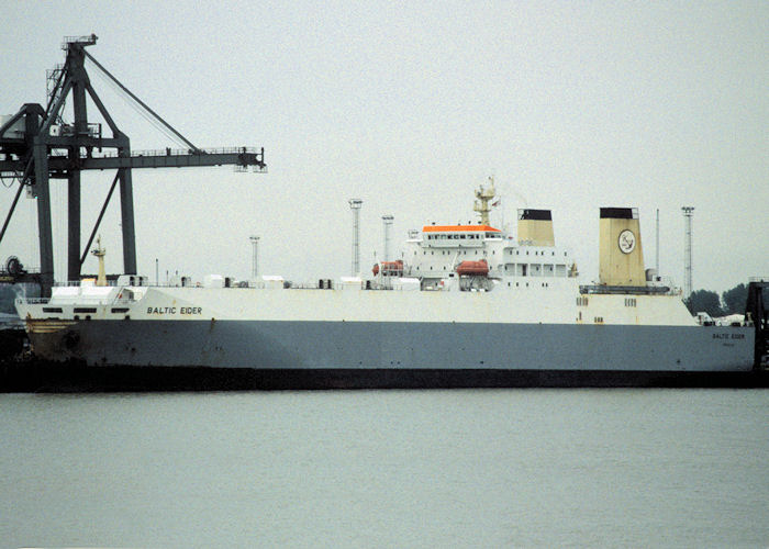  Baltic Eider pictured at Felixstowe on 26th May 1998