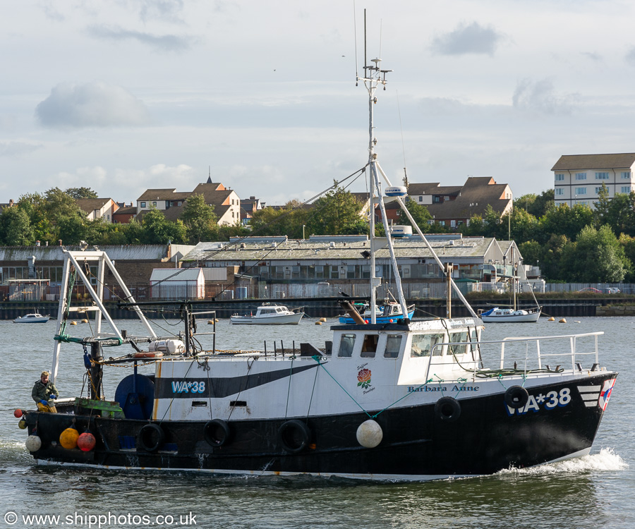 Photograph of the vessel fv Barbara Anne pictured passing the Fish Quay, North Shields on 13th October 2023