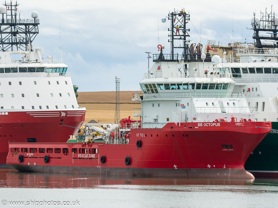 Photograph of the vessel  BB Octopus pictured at Montrose on 7th August 2023