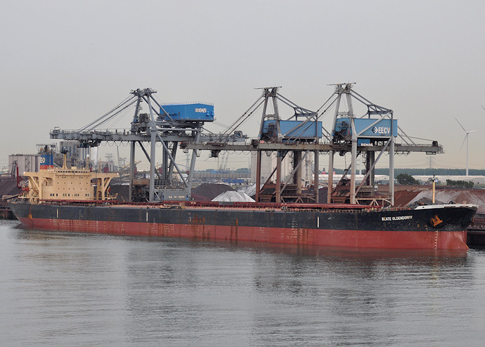 Photograph of the vessel  Beate Oldendorff pictured at EECV, Calandkanaal, Europoort on 26th June 2012