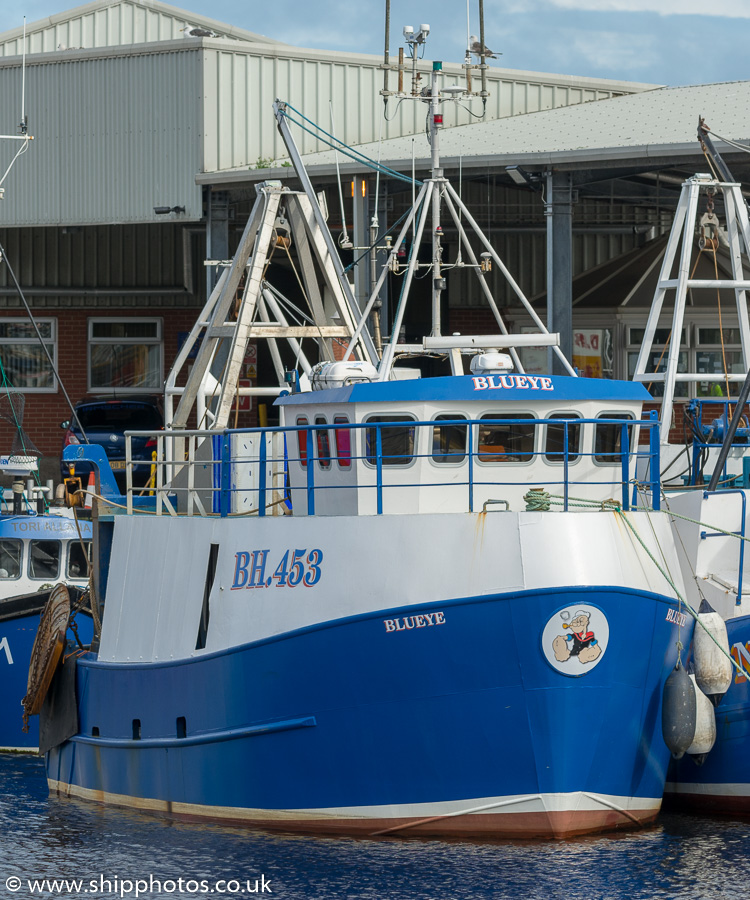 Photograph of the vessel fv Blueye pictured at the Fish Quay, North Shields on 16th September 2017