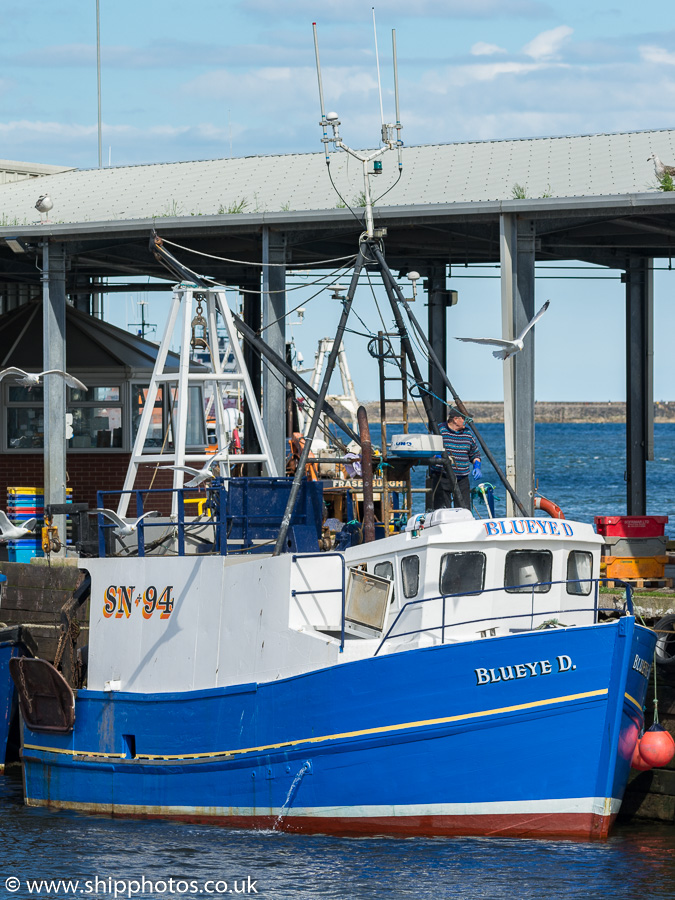 Photograph of the vessel fv Blueye D pictured at the Fish Quay, North Shields on 20th June 2019