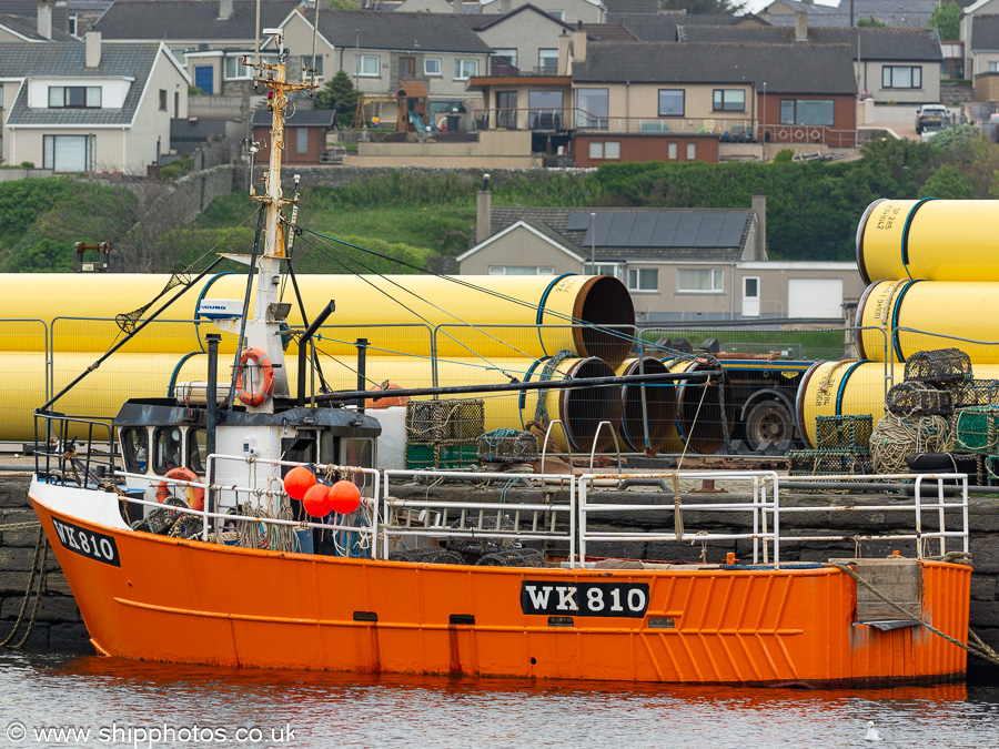 Photograph of the vessel fv Boy Richie II pictured at Wick on 12th May 2024