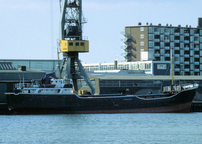 Photograph of the vessel  Brendonian pictured in Rotterdam on 20th April 1997