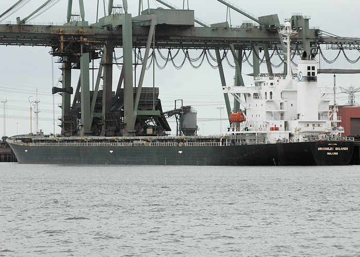 Photograph of the vessel  Brunhilde Salamon pictured in Mississippihaven, Europoort on 20th June 2010