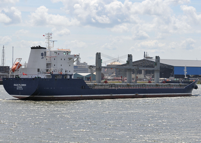 Photograph of the vessel  Bulk Flower pictured passing Vlaardingen on 24th June 2011