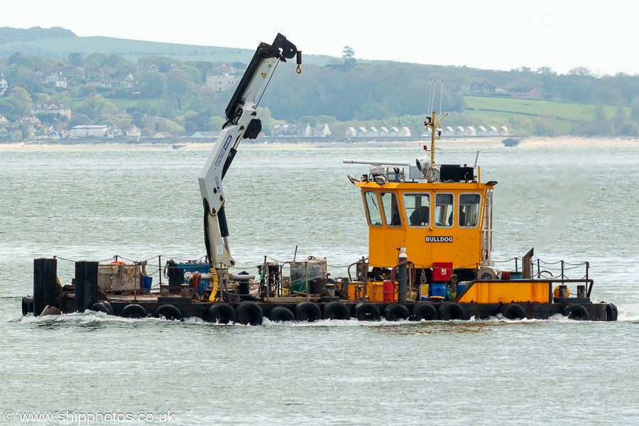 Photograph of the vessel  Bulldog pictured in Portsmouth Harbour on 18th April 2024