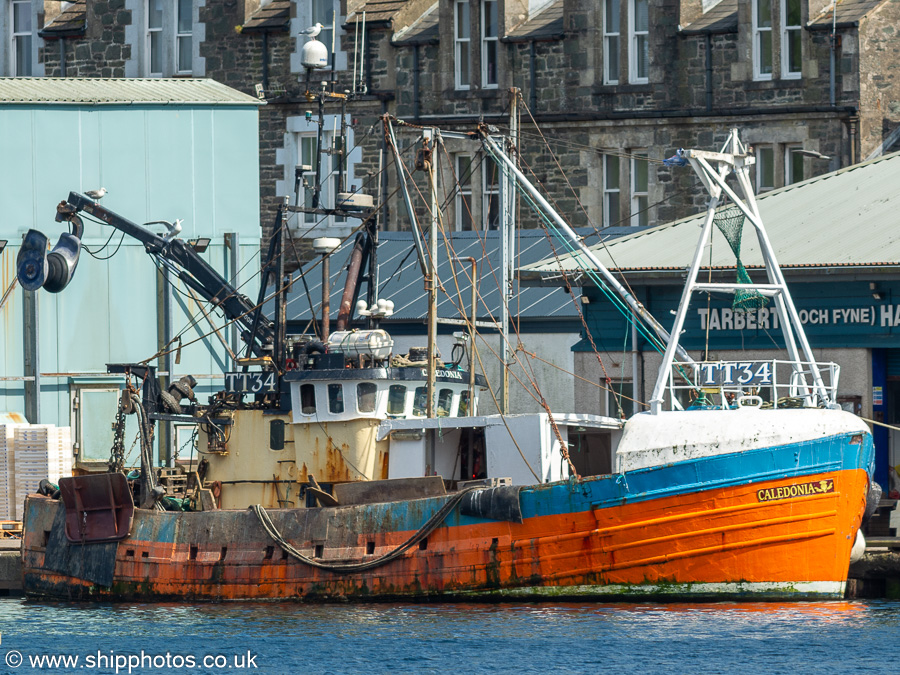 Photograph of the vessel fv Caledonia pictured at Tarbert, Loch Fyne on 10th May 2024
