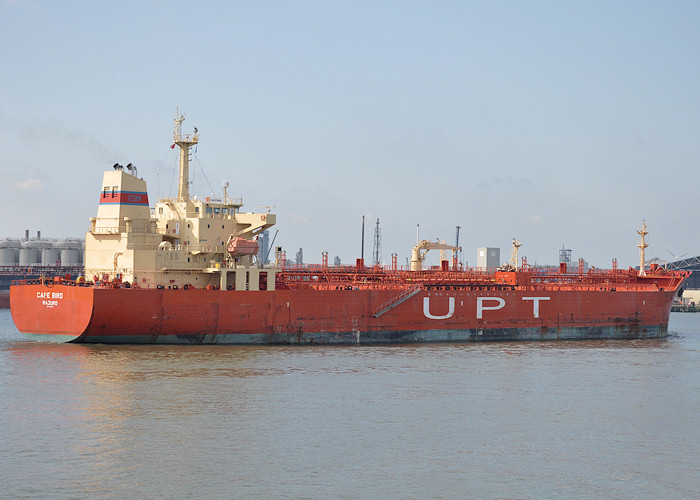Photograph of the vessel  Cape Bird pictured passing Vlaardingen on 26th June 2012