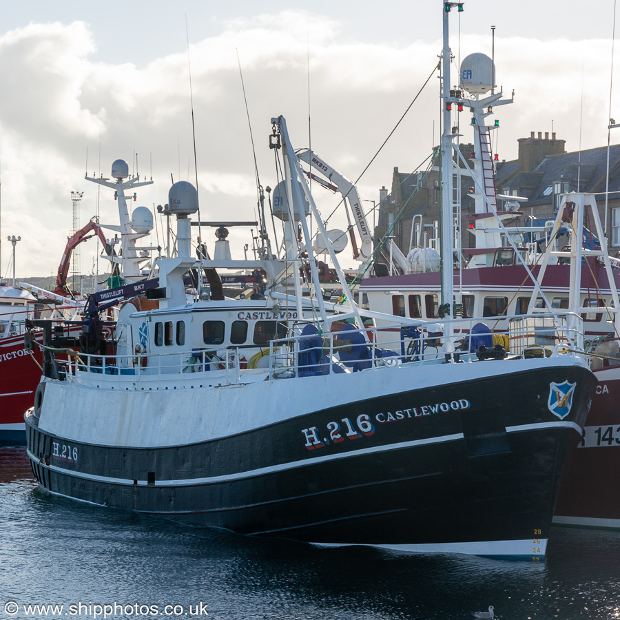 Photograph of the vessel fv Castlewood pictured at Peterhead on 12th September 2024