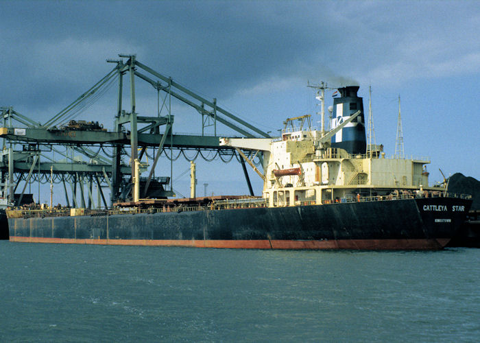 Photograph of the vessel  Cattleya Star pictured in Mississippihaven, Europoort on 20th April 1997
