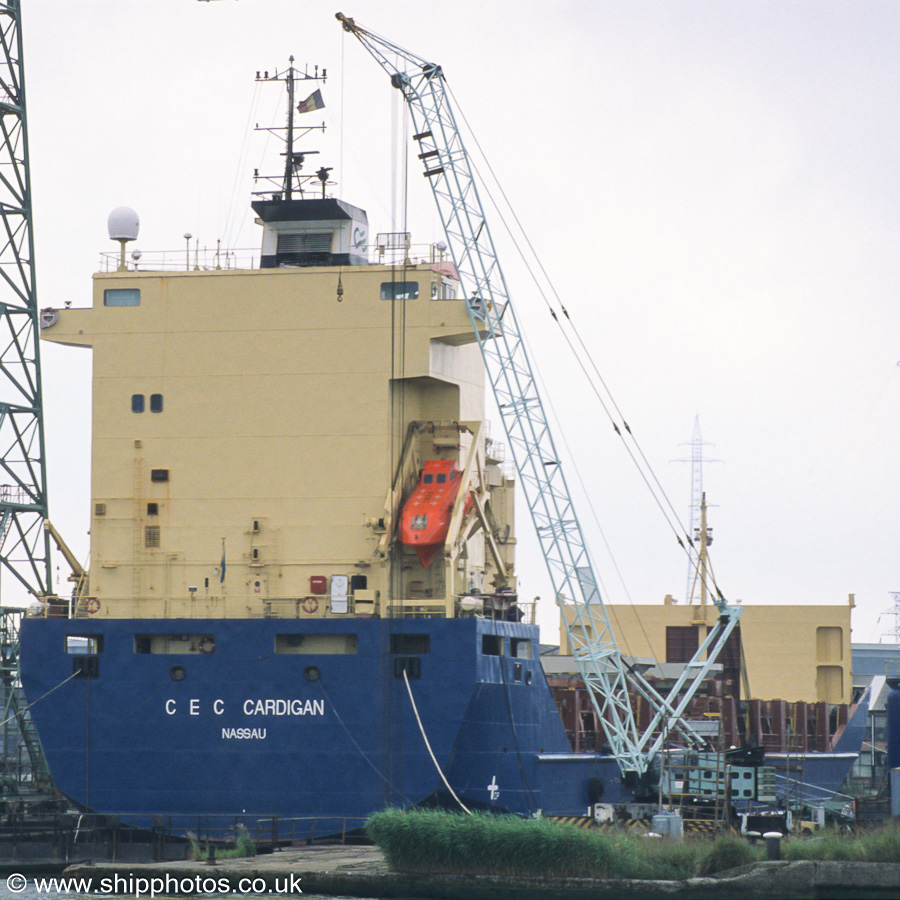 Photograph of the vessel  CEC Cardigan pictured dry docked in Antwerp on 20th June 2002