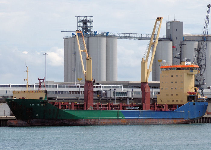 Photograph of the vessel  CEC Meadow pictured at Southampton on 13th June 2009