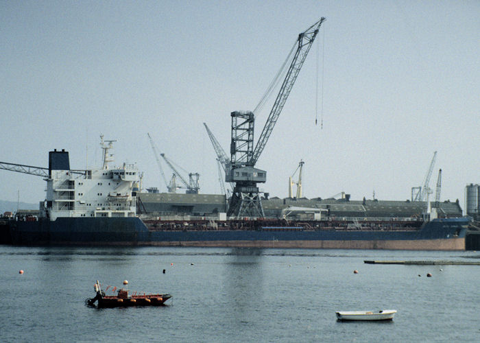 Photograph of the vessel  Celtic Terrier pictured at Falmouth on 28th September 1997