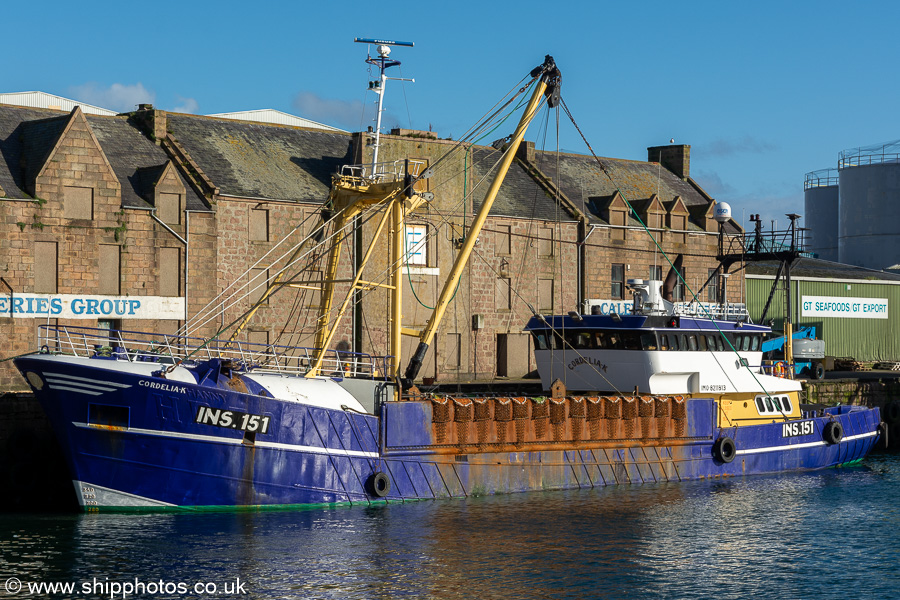 Photograph of the vessel fv Cordelia K pictured at Peterhead on 12th September 2024