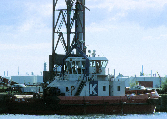 Photograph of the vessel  Danimarca pictured in Rotterdam on 20th April 1997
