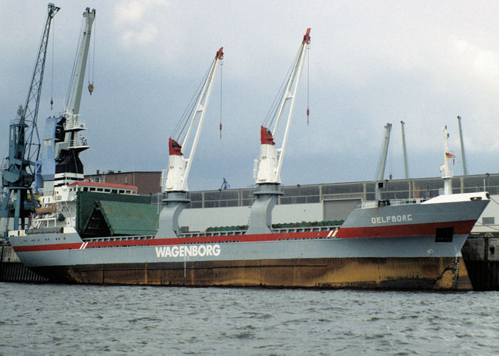 Photograph of the vessel  Delfborg pictured at Hamburg on 9th June 1997