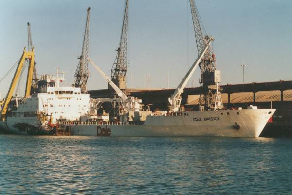 Photograph of the vessel  Dole America pictured in Southampton on 16th November 1999