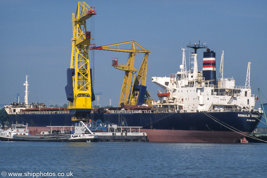 Photograph of the vessel  Donald Duckling pictured in Waalhaven, Rotterdam on 17th June 2002