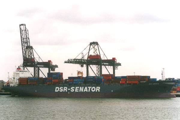 Photograph of the vessel  DSR-America pictured in Felixstowe on 26th August 1995