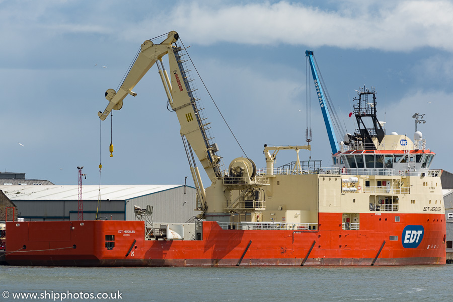 Photograph of the vessel  EDT Hercules pictured at Montrose on 17th May 2015