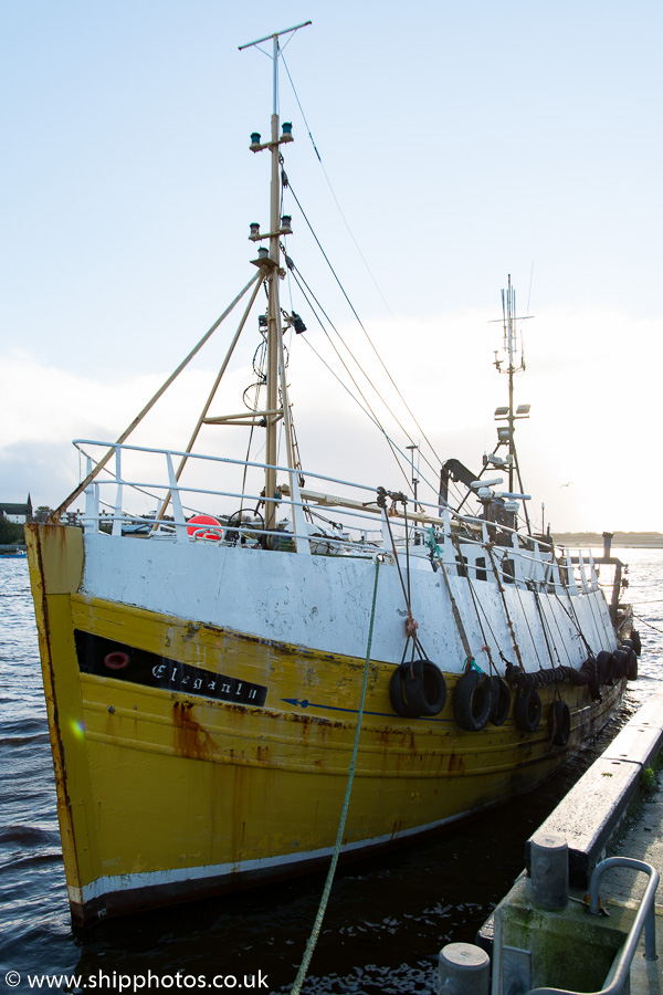 Photograph of the vessel fv Elegant II pictured at North Shields on 13th November 2015