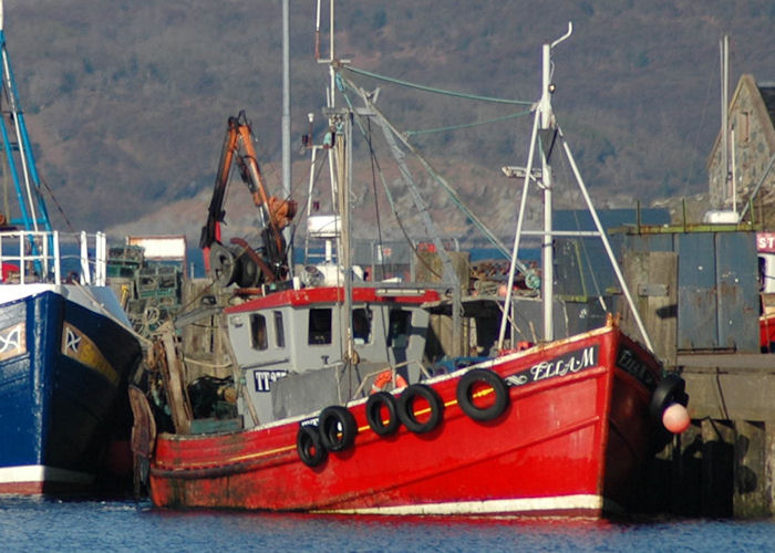 Photograph of the vessel fv Ella M pictured at Tarbert, Loch Fyne on 3rd May 2010