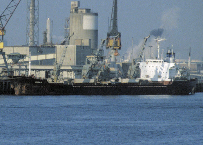 Photograph of the vessel  Elli M pictured on the Nieuwe Maas at Rotterdam on 15th April 1996
