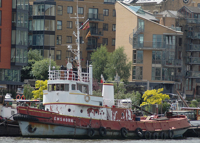 Photograph of the vessel  Emshorn pictured in London on 14th June 2009