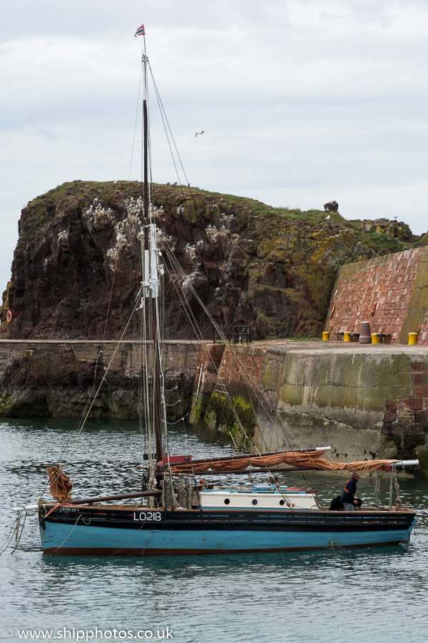 Photograph of the vessel fv Enterprise pictured arriving at Dunbar on 5th July 2015