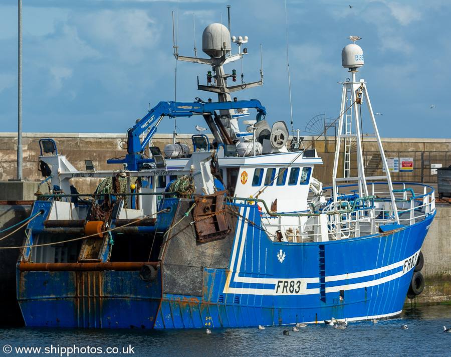 Photograph of the vessel fv Faithful Star pictured at Fraserburgh on 12th September 2024