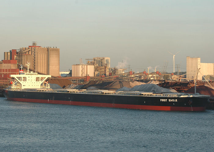 Photograph of the vessel  First Eagle pictured at EECV, Calandkanaal, Europoort on 21st June 2010